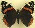  ( - MM17151)  @13 [ ] Unspecified (default): All Rights Reserved  Unspecified Unspecified