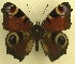  ( - MM17152)  @13 [ ] Unspecified (default): All Rights Reserved  Unspecified Unspecified