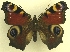 ( - MM17153)  @14 [ ] Unspecified (default): All Rights Reserved  Unspecified Unspecified