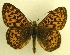  ( - MM17173)  @13 [ ] Unspecified (default): All Rights Reserved  Unspecified Unspecified