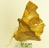  ( - MM17201)  @13 [ ] Unspecified (default): All Rights Reserved  Unspecified Unspecified