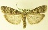  ( - MM17209)  @13 [ ] Unspecified (default): All Rights Reserved  Unspecified Unspecified