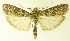  ( - MM17210)  @13 [ ] Unspecified (default): All Rights Reserved  Unspecified Unspecified