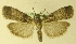  ( - MM17235)  @13 [ ] Unspecified (default): All Rights Reserved  Unspecified Unspecified