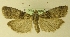  ( - MM17236)  @13 [ ] Unspecified (default): All Rights Reserved  Unspecified Unspecified