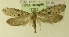  ( - MM17242)  @13 [ ] Unspecified (default): All Rights Reserved  Unspecified Unspecified