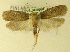  ( - MM17272)  @12 [ ] Unspecified (default): All Rights Reserved  Unspecified Unspecified