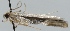  ( - MM21054)  @12 [ ] No Rights Reserved (2011) Marko Mutanen University of Oulu