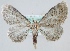  ( - MM23924)  @13 [ ] CreativeCommons - Attribution Non-Commercial (2018) Marko Mutanen University of Oulu