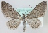  ( - MM23925)  @14 [ ] CreativeCommons - Attribution Non-Commercial (2018) Marko Mutanen University of Oulu