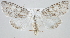 ( - MM23970)  @14 [ ] CreativeCommons - Attribution Non-Commercial (2015) Marko Mutanen University of Oulu
