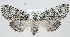  ( - MM23977)  @11 [ ] CreativeCommons - Attribution Non-Commercial (2015) Marko Mutanen University of Oulu