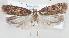  ( - MM23982)  @14 [ ] CreativeCommons - Attribution Non-Commercial (2015) Marko Mutanen University of Oulu