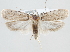  ( - MM23995)  @13 [ ] CreativeCommons - Attribution Non-Commercial (2015) Marko Mutanen University of Oulu