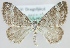  ( - MM24070)  @14 [ ] CreativeCommons - Attribution Non-Commercial (2018) Marko Mutanen University of Oulu
