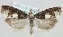  ( - MM24086)  @14 [ ] CreativeCommons - Attribution Non-Commercial (2018) Marko Mutanen University of Oulu