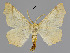  ( - MM24087)  @13 [ ] CreativeCommons - Attribution Non-Commercial (2015) Marko Mutanen University of Oulu