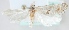  (Cochylimorpha agenjoi - MM24103)  @11 [ ] CreativeCommons - Attribution Non-Commercial (2018) Marko Mutanen University of Oulu