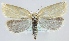  ( - MM24144)  @11 [ ] CreativeCommons - Attribution Non-Commercial (2018) Marko Mutanen University of Oulu