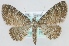  ( - MM24145)  @14 [ ] CreativeCommons - Attribution Non-Commercial (2018) Marko Mutanen University of Oulu