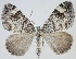  ( - MM24146)  @11 [ ] CreativeCommons - Attribution Non-Commercial (2018) Marko Mutanen University of Oulu