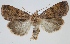  ( - MM24147)  @11 [ ] CreativeCommons - Attribution Non-Commercial (2018) Marko Mutanen University of Oulu