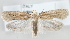  ( - MM24169)  @13 [ ] CreativeCommons - Attribution Non-Commercial (2015) Marko Mutanen University of Oulu