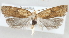  ( - MM24171)  @12 [ ] CreativeCommons - Attribution Non-Commercial (2015) Marko Mutanen University of Oulu