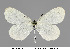  ( - MM24186)  @13 [ ] CreativeCommons - Attribution Non-Commercial (2015) Marko Mutanen University of Oulu