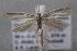  ( - MM24606)  @14 [ ] CreativeCommons - Attribution Non-Commercial (2016) Marko Mutanen University of Oulu