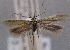  ( - MM24635)  @11 [ ] CreativeCommons - Attribution Non-Commercial (2016) Marko Mutanen University of Oulu