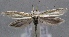  ( - MM24664)  @14 [ ] CreativeCommons - Attribution Non-Commercial (2016) Marko Mutanen University of Oulu