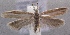  ( - MM24668)  @14 [ ] CreativeCommons - Attribution Non-Commercial (2016) Marko Mutanen University of Oulu