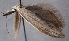  ( - MM24679)  @11 [ ] CreativeCommons - Attribution Non-Commercial (2016) Marko Mutanen University of Oulu