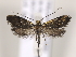  ( - MM24706)  @11 [ ] CreativeCommons - Attribution Non-Commercial (2018) Marko Mutanen University of Oulu