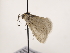  ( - MM24712)  @11 [ ] CreativeCommons - Attribution Non-Commercial (2018) Marko Mutanen University of Oulu