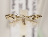  ( - MM24721)  @11 [ ] CreativeCommons - Attribution Non-Commercial (2018) Marko Mutanen University of Oulu