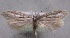  ( - MM24809)  @11 [ ] CreativeCommons - Attribution Non-Commercial (2016) Marko Mutanen University of Oulu