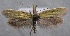  ( - MM24811)  @14 [ ] CreativeCommons - Attribution Non-Commercial (2016) Marko Mutanen University of Oulu