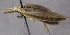  ( - MM24814)  @13 [ ] CreativeCommons - Attribution Non-Commercial (2016) Marko Mutanen University of Oulu