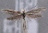  ( - MM24846)  @14 [ ] CreativeCommons - Attribution Non-Commercial (2016) Marko Mutanen University of Oulu