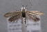  ( - MM24910)  @13 [ ] CreativeCommons - Attribution Non-Commercial (2016) Marko Mutanen University of Oulu