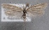  ( - MM24936)  @11 [ ] CreativeCommons - Attribution Non-Commercial (2016) Marko Mutanen University of Oulu