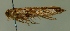  ( - MM25172)  @11 [ ] CreativeCommons - Attribution Non-Commercial (2016) Marko Mutanen University of Oulu