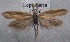  ( - MM25436)  @11 [ ] CreativeCommons - Attribution Non-Commercial (2016) Marko Mutanen University of Oulu