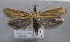  ( - MM25564)  @11 [ ] CreativeCommons - Attribution Non-Commercial (2017) Marko Mutanen University of Oulu