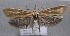  ( - MM25566)  @11 [ ] CreativeCommons - Attribution Non-Commercial (2017) Marko Mutanen University of Oulu