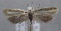  ( - MM25567)  @14 [ ] CreativeCommons - Attribution Non-Commercial (2017) Marko Mutanen University of Oulu
