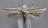  ( - MM25568)  @14 [ ] CreativeCommons - Attribution Non-Commercial (2017) Marko Mutanen University of Oulu