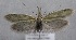  ( - MM25577)  @14 [ ] CreativeCommons - Attribution Non-Commercial (2017) Marko Mutanen University of Oulu
